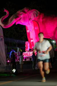 BIB: 
                            <button type="button" onclick="openModal(26533493)" class="btn btn-primary btn-sm float-right btn-popup" data-toggle="modal" data-target=".modal-high-quality">
                        <i class="fas fa-shopping-cart"></i> Add to Cart
                    </button>
                                            <button type="button" onclick="isThisMe(26533493, true)" class="btn btn-success btn-sm float-right btn-popup btn-isme hidden" data-toggle="tooltip" data-placement="bottom" title="นี่คือรูปของคุณใช่ไหม คลิกที่นี่เพื่อเอาเข้าอัลบั้ม">
                        <i class="fas fa-plus"></i> Add to album
                    </button>
                    <button type="button" onclick="isThisMe(26533493, false)" class="btn btn-warning btn-sm float-right btn-popup btn-isnotme hidden">
                        <i class="fas fa-ban"></i> Remove from album
                    </button>